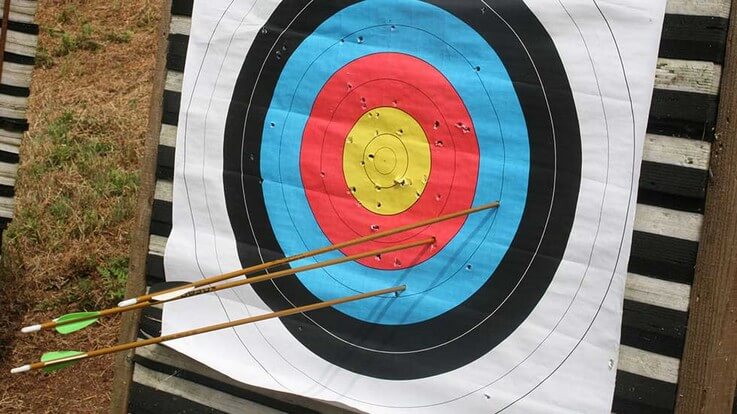 arrows embedded in archery target