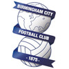 birmingham city football club
