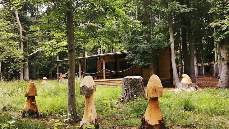 carved mushroom circle in woods