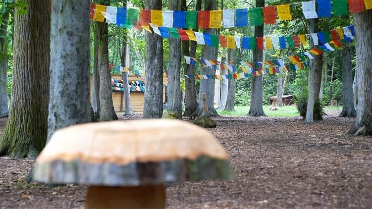 carved mushroom woodland