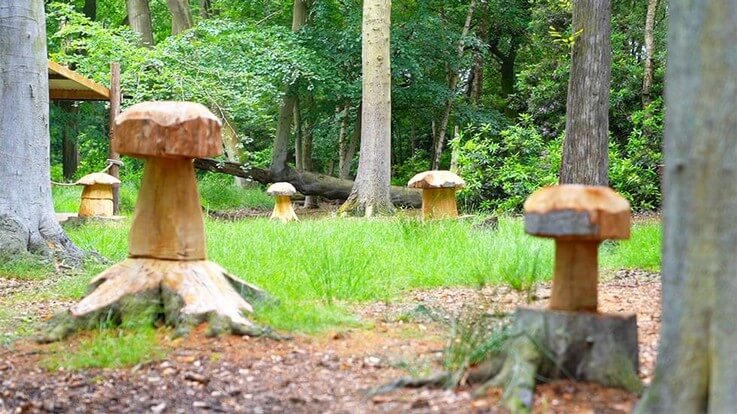 chainsaw carved mushrooms