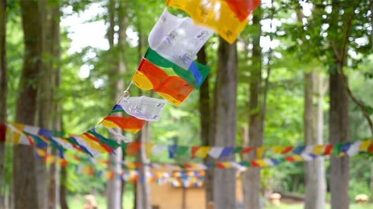 coloured banners in trees