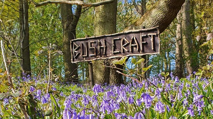 handmade bushcraft sign in bluebell woodland