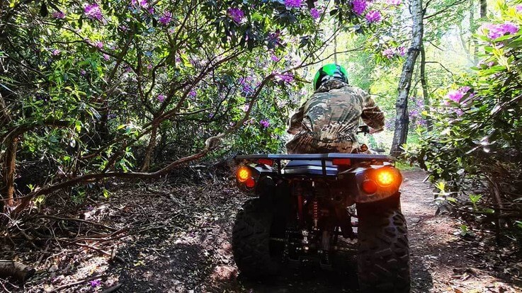 jungle quad trails