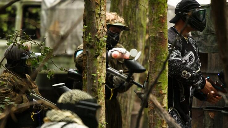 own gunners in thick woodland cover