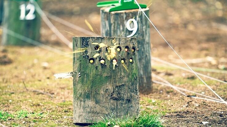 rifle shooting at paintballs in log