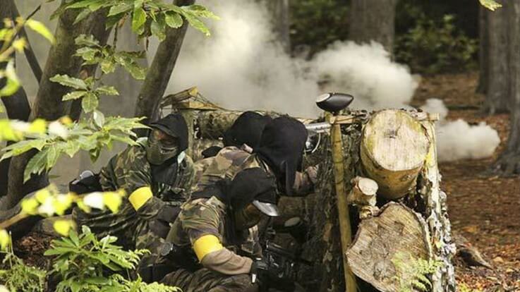 woodland barricades and cover